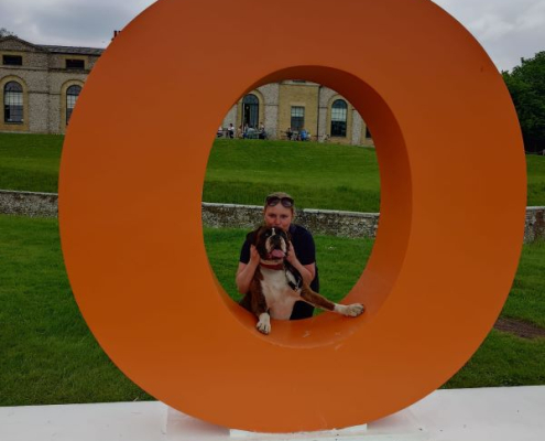 Boxer dog in the Goodwoof sign