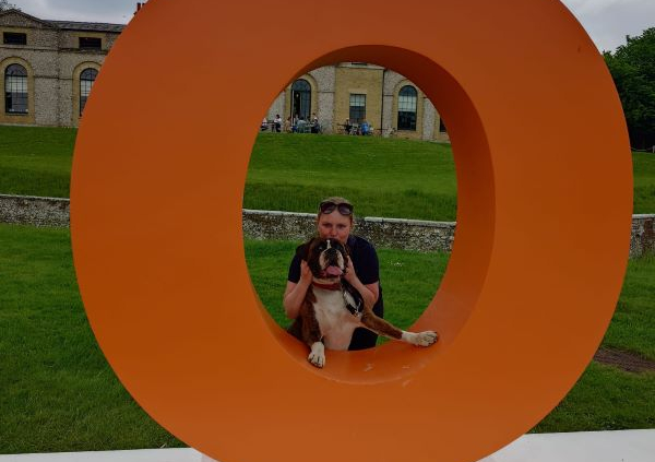 Boxer dog in the Goodwoof sign