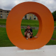 Boxer dog in the Goodwoof sign